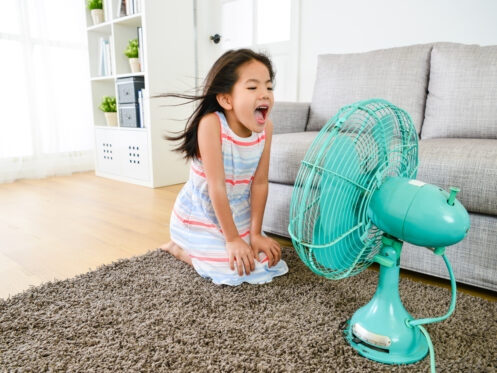AC services in Blue Springs